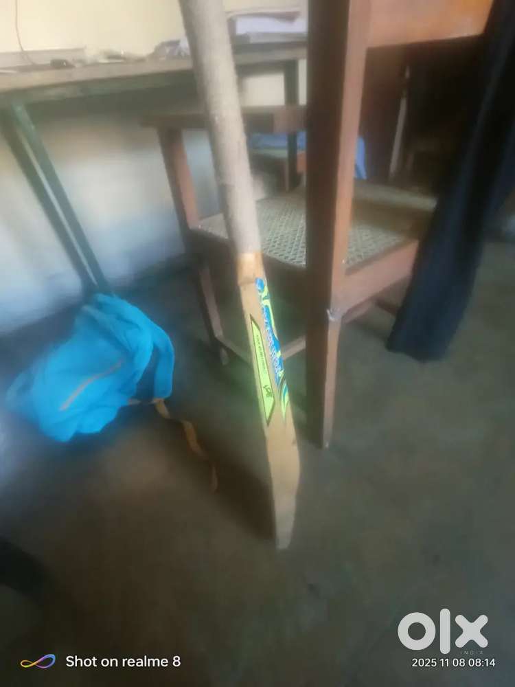 Cricket bat