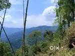 12 Decimal Land in Main road for Sale in Jhandi, Kalimpong