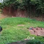 Land For Sale  7.60 cent