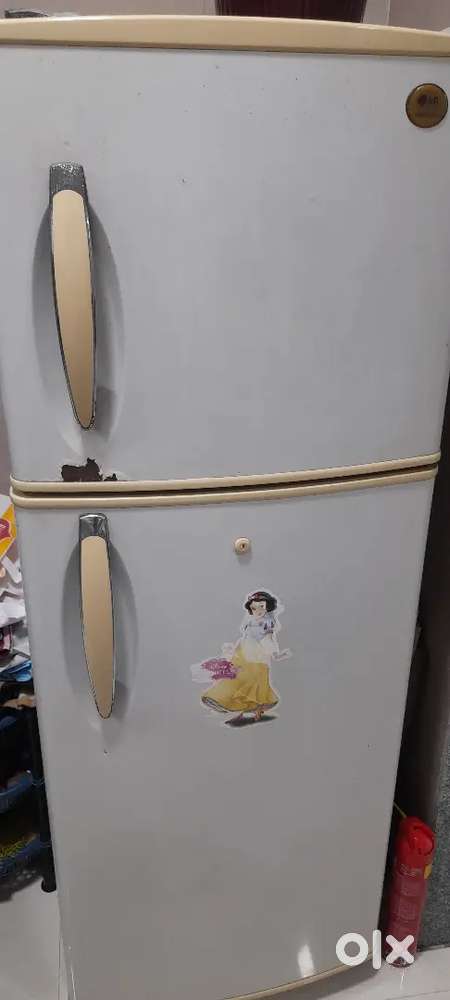 LG Fridge double door