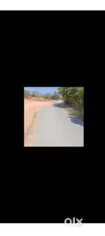 Commercial poultry purpose land