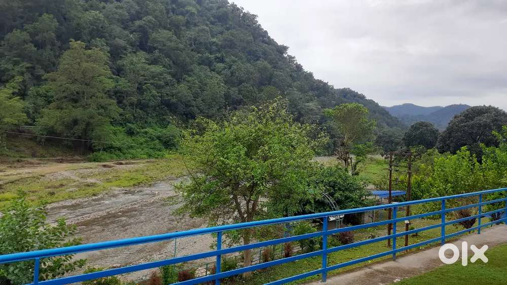 Cook, housekeeping, service,  cleaning