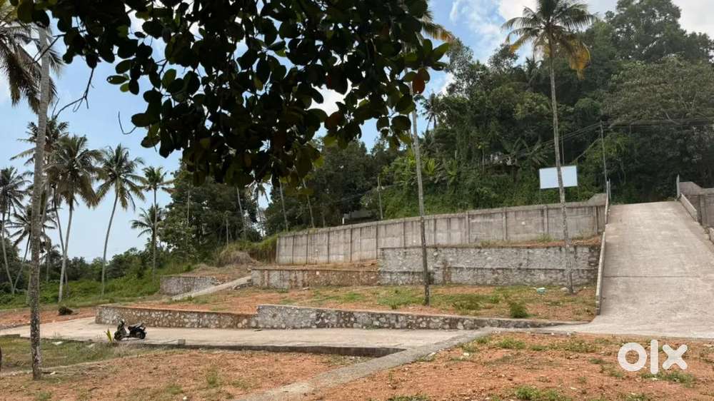 5 cent,6 cent, 6.5 cent Plot for sale near nettayam