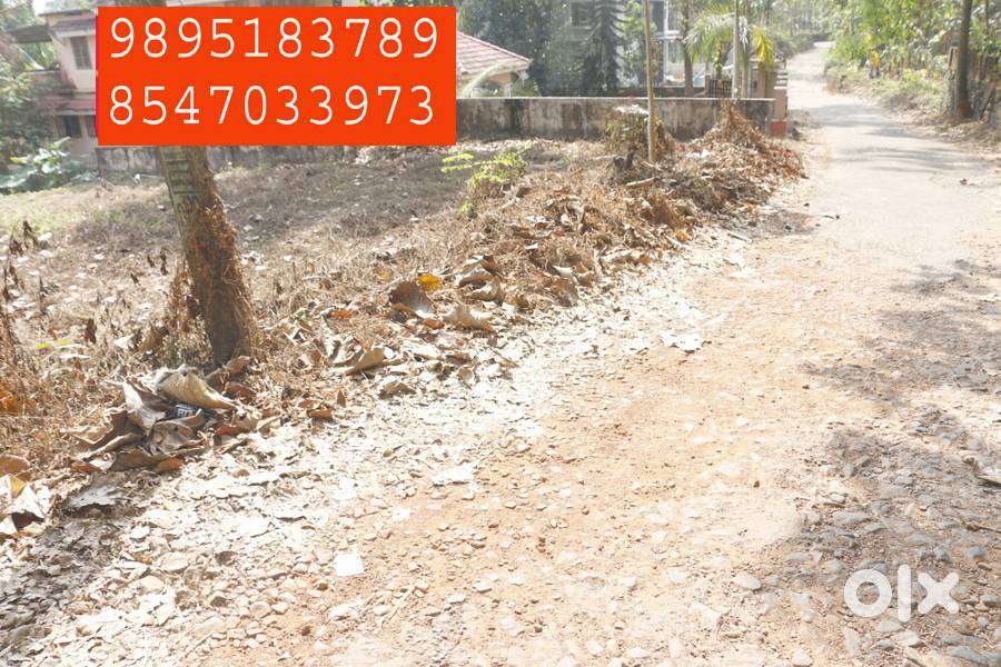 House plot 21 cent near caritas hospital 5.5 lakh/cent