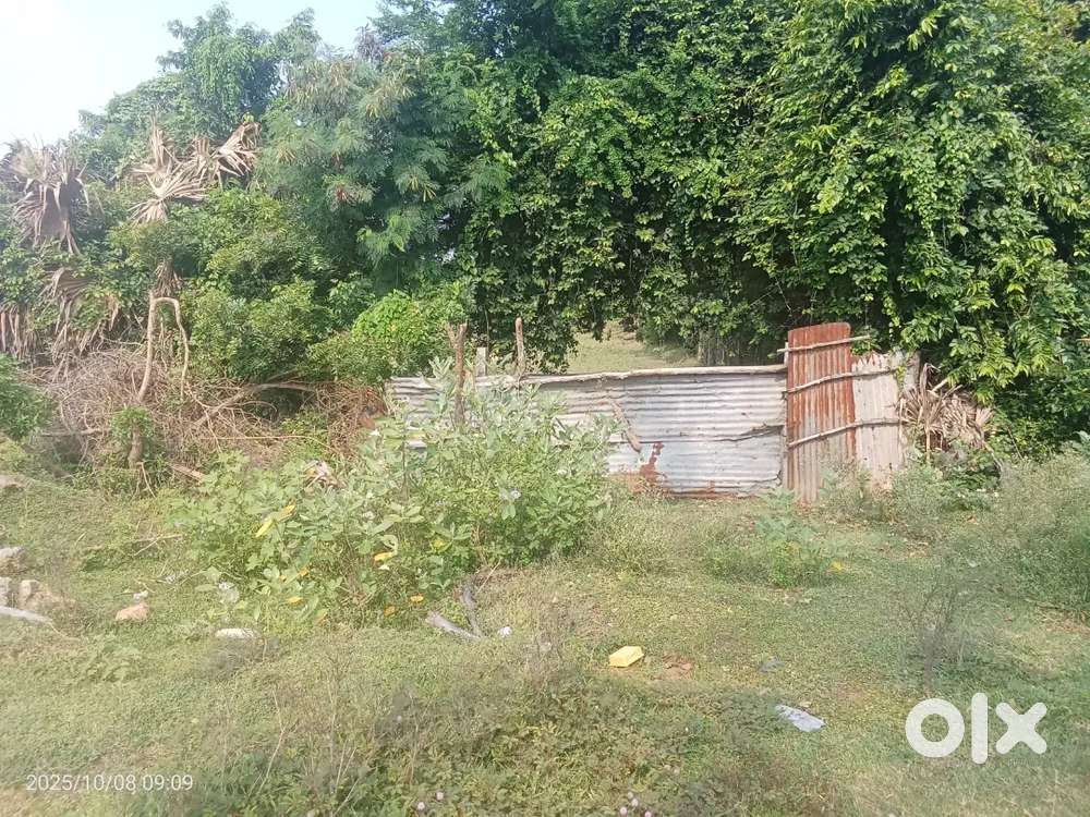 118 சென்ட் காட்டாங்குளத்தூர் 1கிமி 1சென்ட்  5லட்சம்