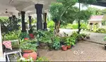 Luxury house with courtyard sale. Land 35 Cents. Chengannur നാലുകെട്ട്
