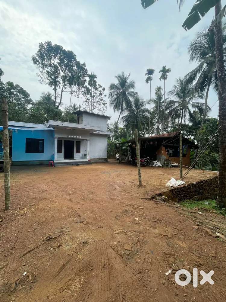 800 squt house,with 48 cent plot