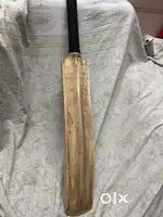 Cricket kashmir willow bat