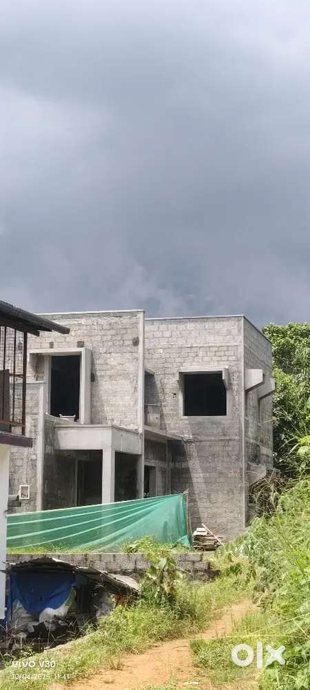 Junior architect