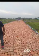 Land papers are clear. Total Land have mutated for the name of our org