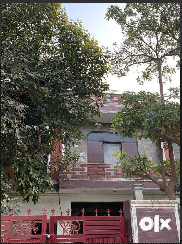 Spacious sunny house with greenery