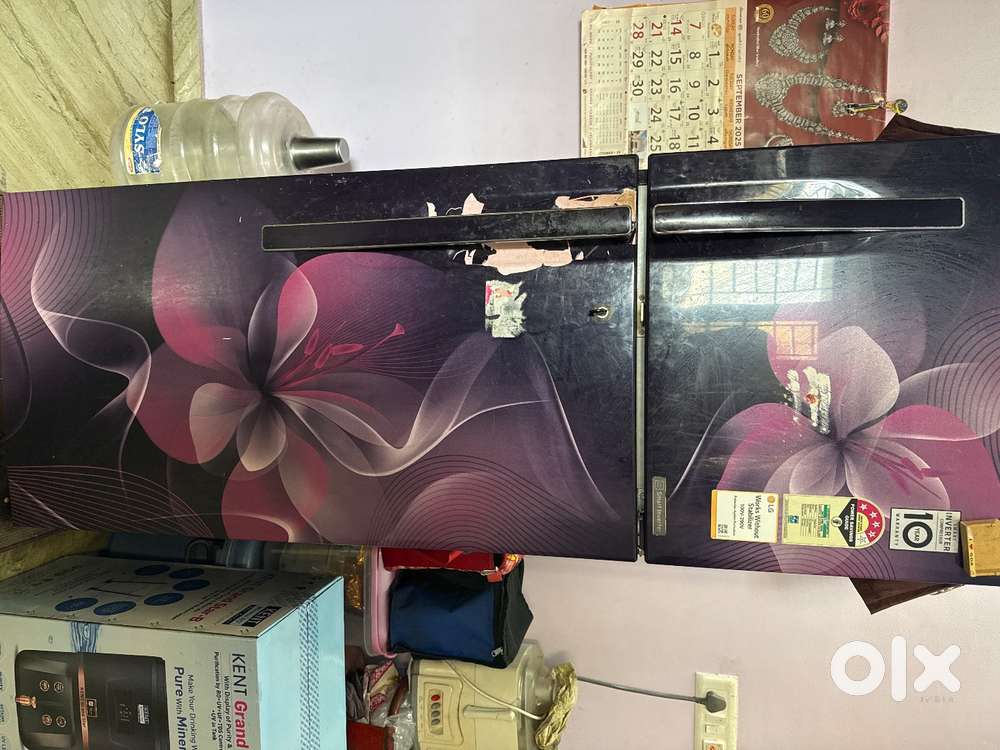 LG Fridge 255L