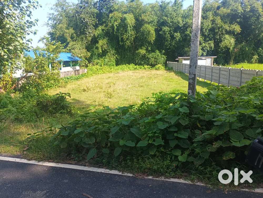 Land for residential