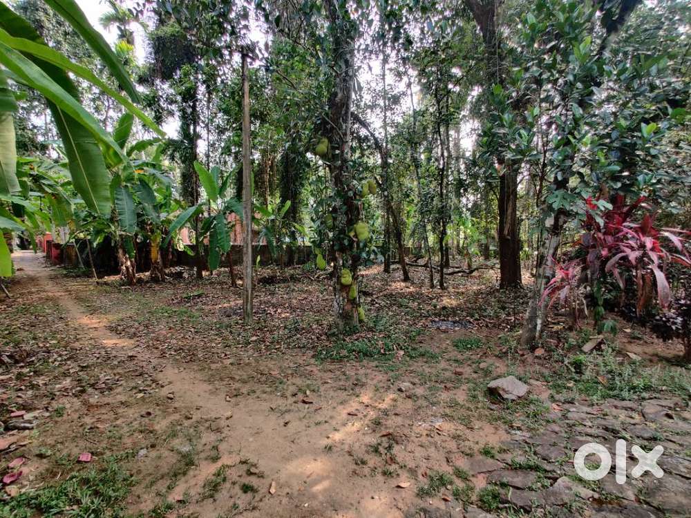 Residential Plot for Sale in Thiruvalla, Kavumbhagom – Prime Loc.