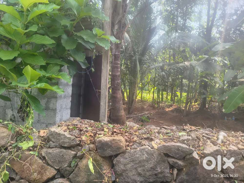 10 cent square plot for sale at Kulappilly,Shoranur,1.9lakh per cent