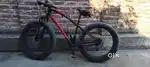 Tropix 306 German fatbike