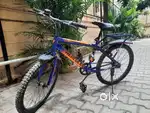 Hercules Street Cat bicycle