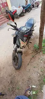 Honda hornet
