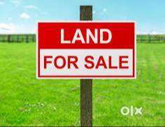 Land in Rampur