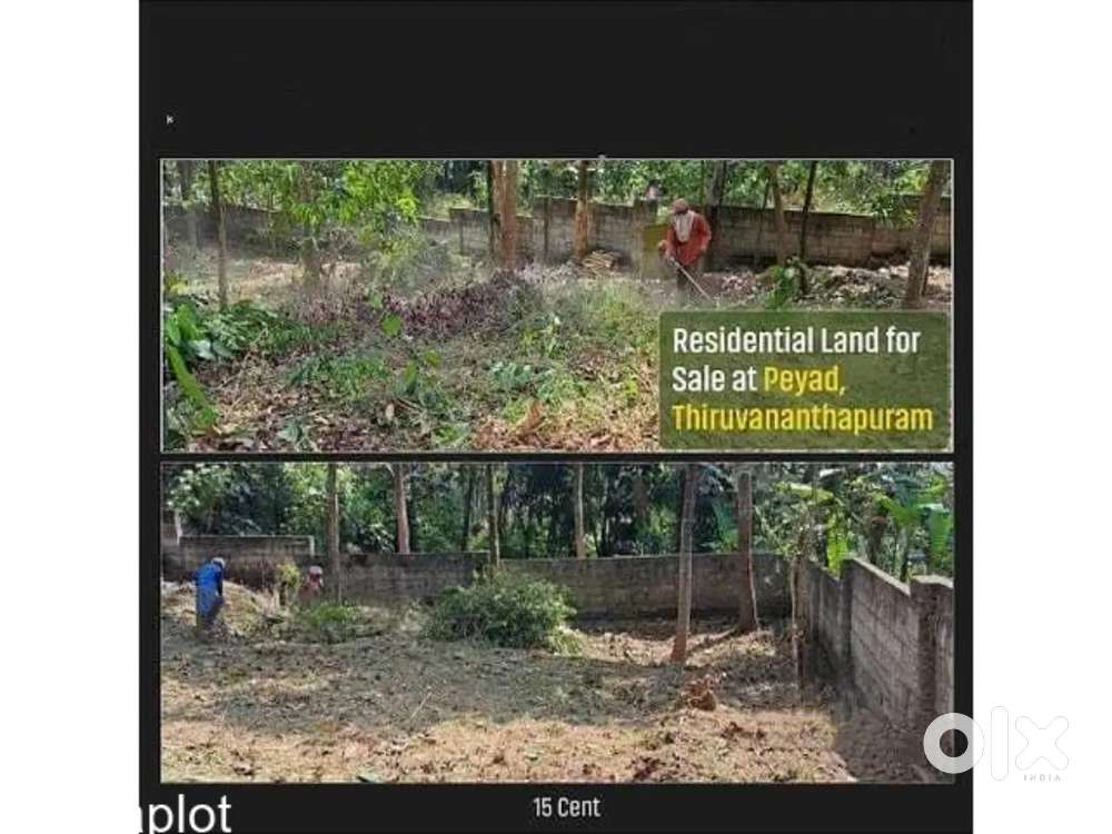 15 cent land for sale peyad