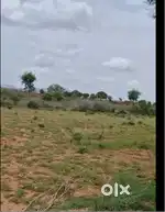 2 Acre 12 Gunta + 9 Gunta Karab Land for Sale – Doddaballapura