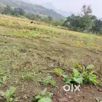 Agriculture Land Sale in Khopoli Pali Road