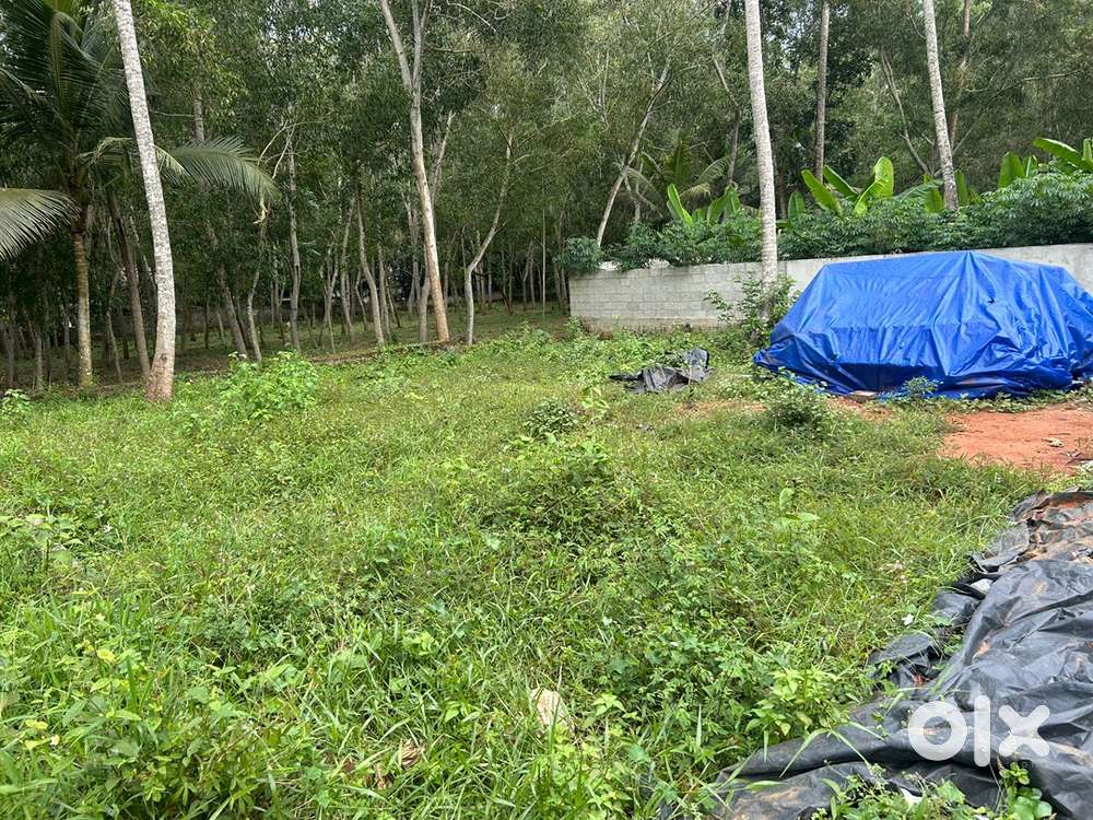 6 cent urgent for sale