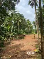 52 Cent Plot For Sale
