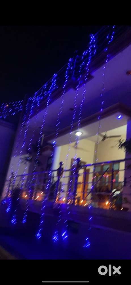 Looking for family or Girl