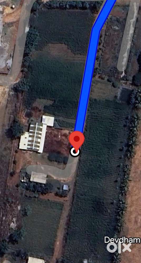 Warehouse or storage or Godown