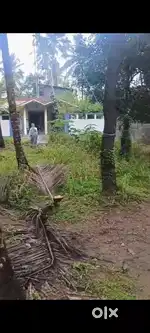 15 cents residential/commercial plot with road facility