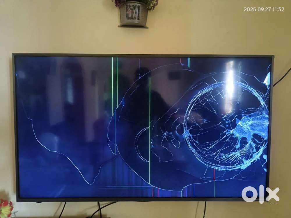 55 inch VU Tv (Display Damage)