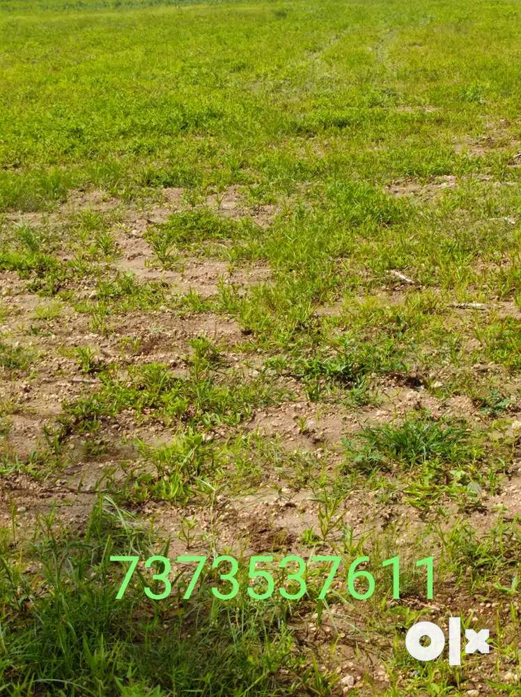 50 acers of agriculture land for sale