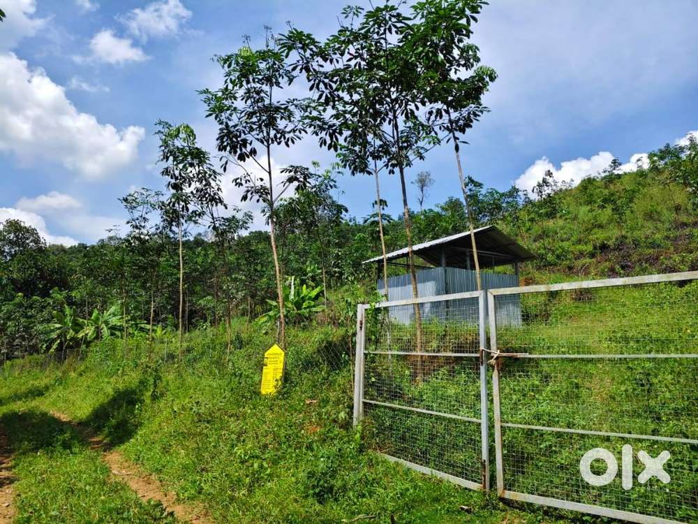 2 ACER RUBBER ESTATE FOR SALE KOODAL