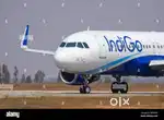 Freshers apply fast male female both are welcome indigo. Ground Staff