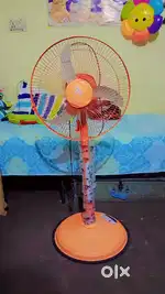 New fan h  2 mounth old h