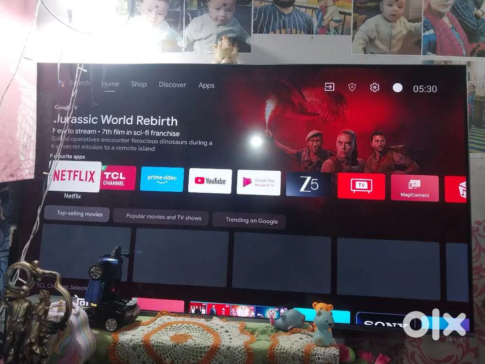 TCL COMPANY .10 MONTH OLD