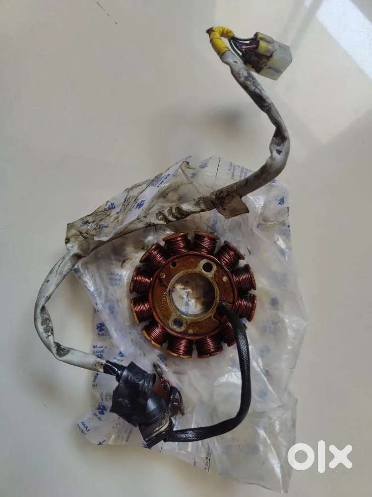 Platina 100es bike magnet qual