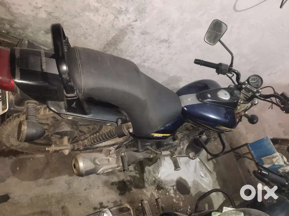 Bajaj Avenger 150 Street in blue colour