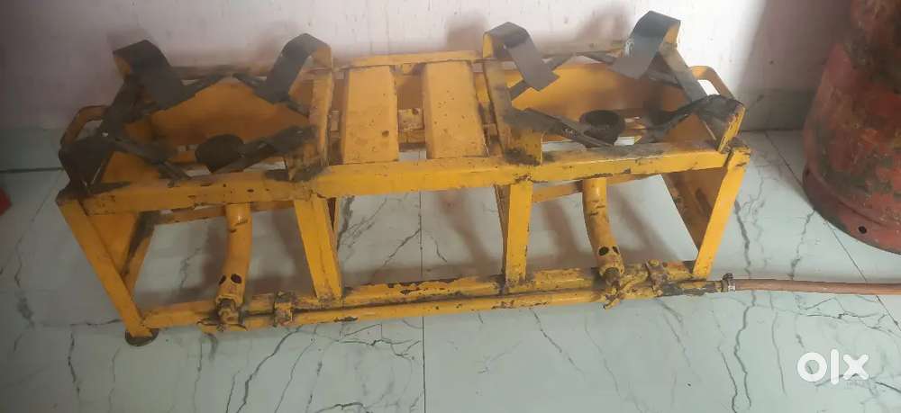 6 mahine purani shegdi ,