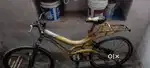 7speed gear cycle smoothly Paidal a one conditions