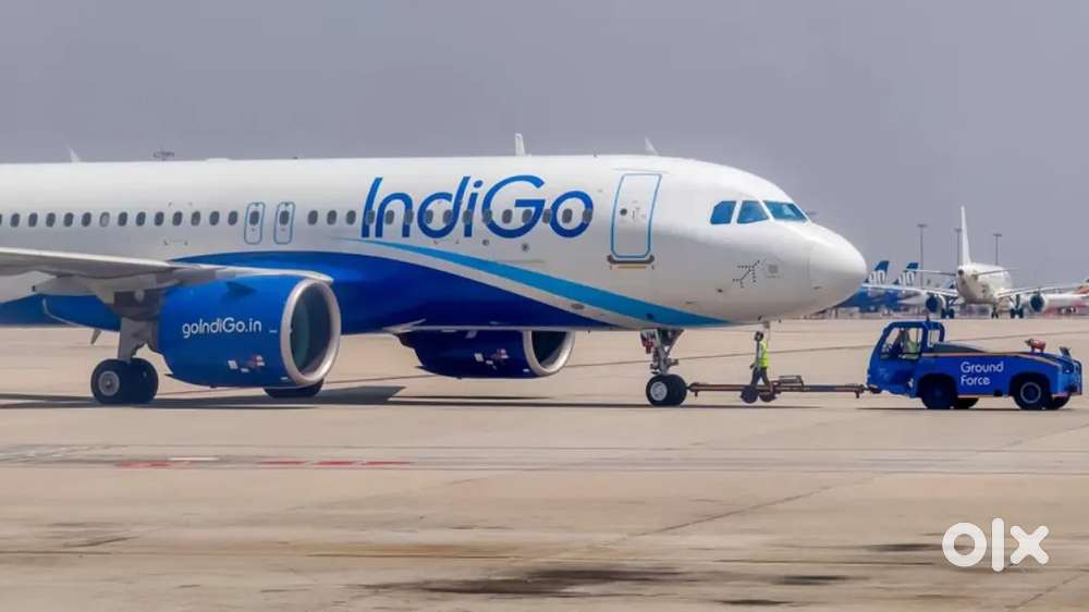 Open Vacancies for Male/Female in Indigo Airlines Apply now.