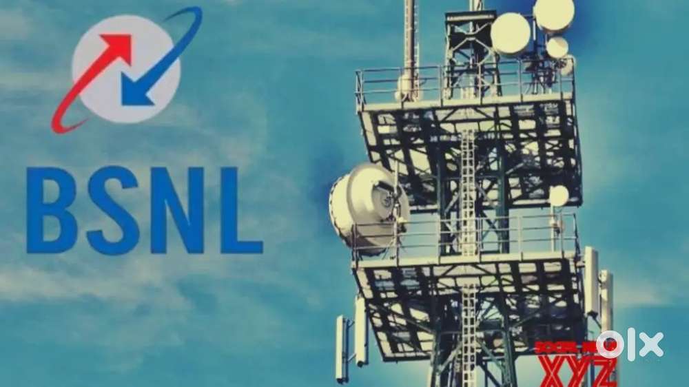 BSNL कंम्पनी में तत्काल हायरिंग हो रही है।

पोस्ट :- सर्वे ऑपरेटर