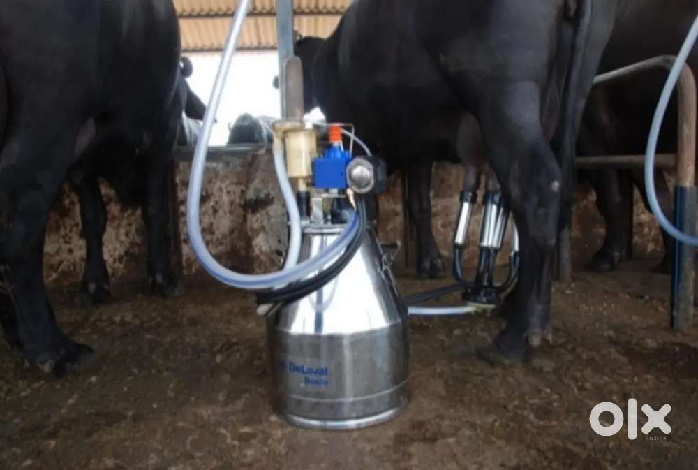 Automatic Milking Machine for sale