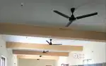 Ceiling Fan - 6 fans