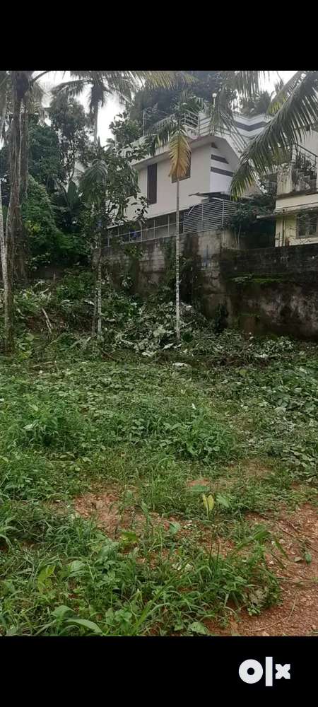 House plot in residential area- 300mtrs far from Pallimukkku, Peyad