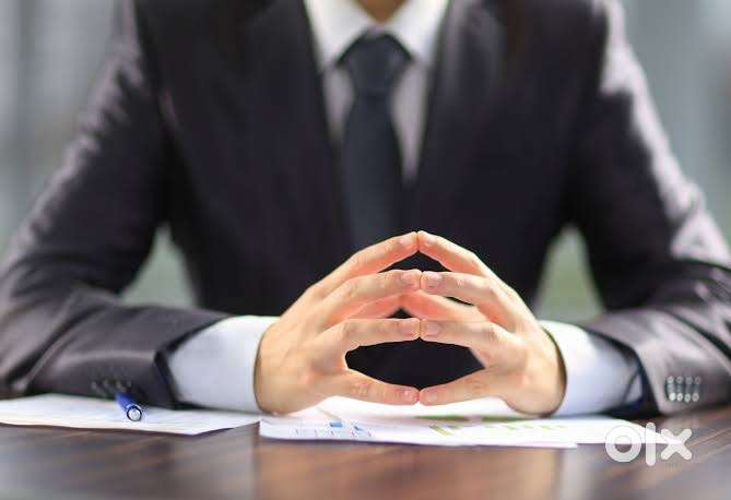 Business Development Executive