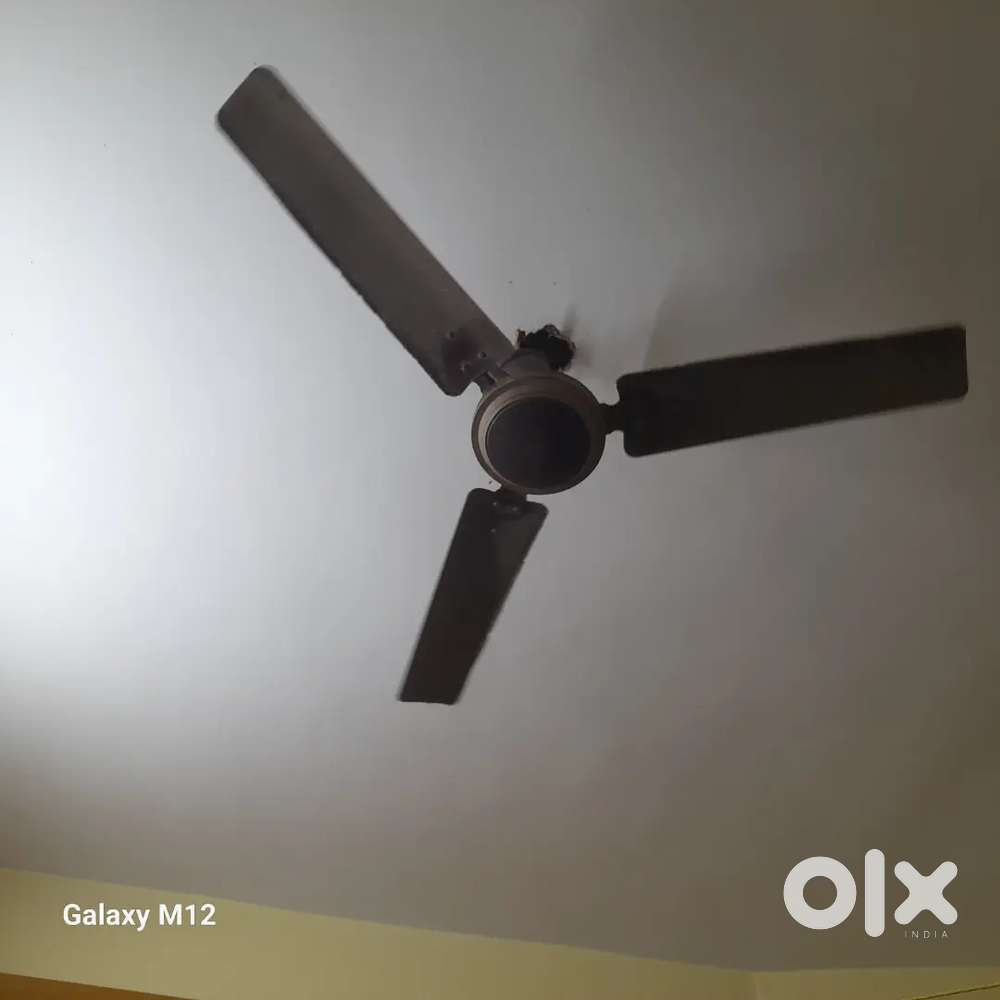 Ceiling Fan