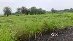 plots for farmhouse