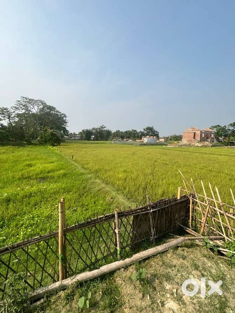 Land for sale